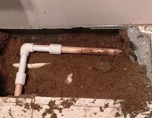 渝北测漏水哪家好