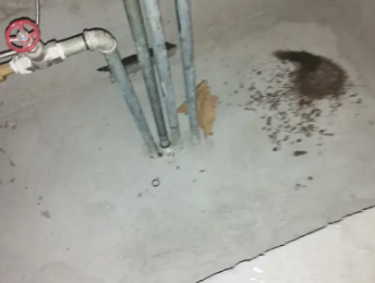 渝北卫生间测漏水价格明细