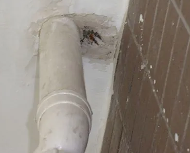 渝北漏水检测哪家好